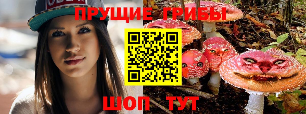 Галлюциногенные грибы прущие грибы  Вход с VPN  Пугачёв 